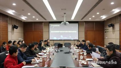 重慶市物聯網產業協會專家技術委員會座談會圓滿舉行，共商信息技術服務新篇章